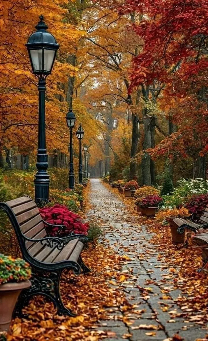 Leafy Autumn Walkway with Lamppost and Bench