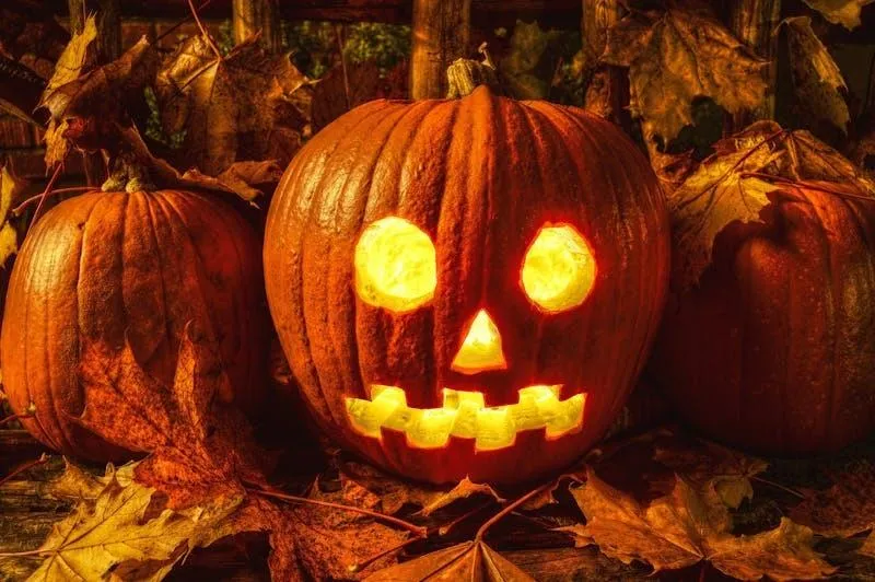 Lit Jack O Lantern Among Fall Leaves For Halloween HD Image