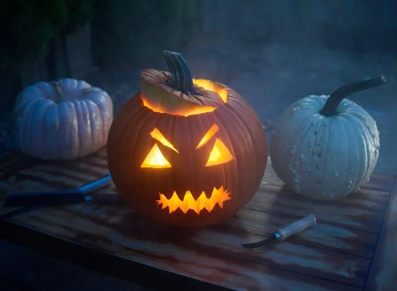 Lit Pumpkin with Creepy Face Among White and Orange Gourds
