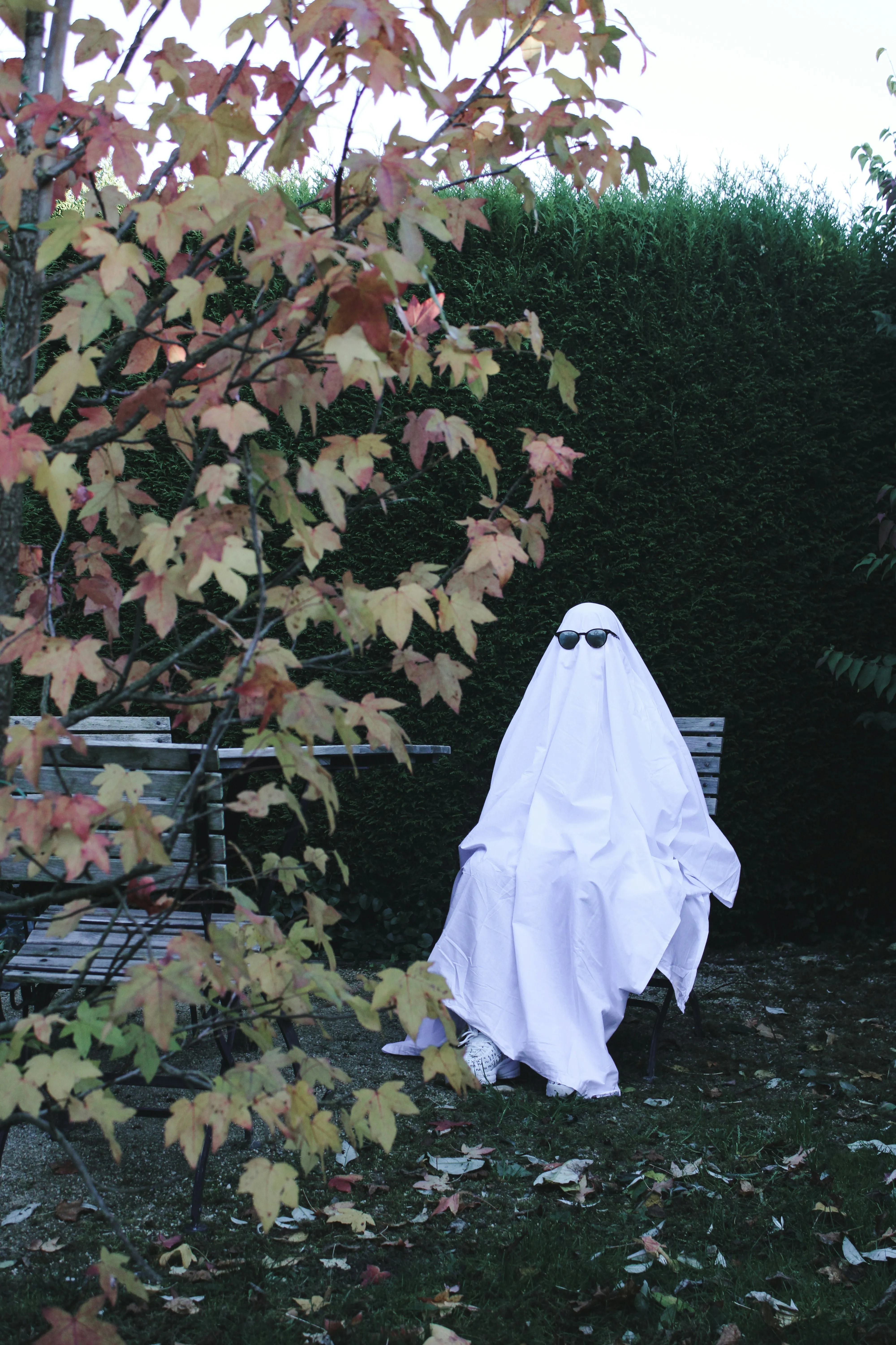 Lone Ghost Figure Near Trees at Halloween Festival image