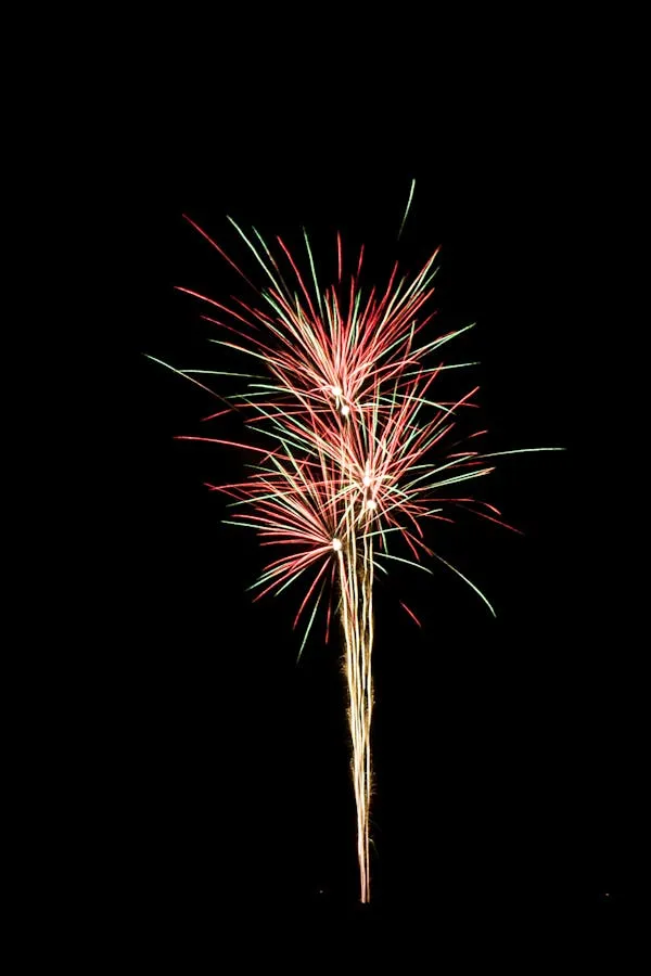 Long Exposure Firework Creating Radiant Star like Patterns
