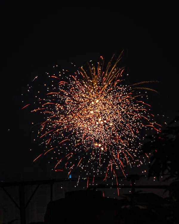 Magnificent Fireworks over Calm Water with Clear Night Sky