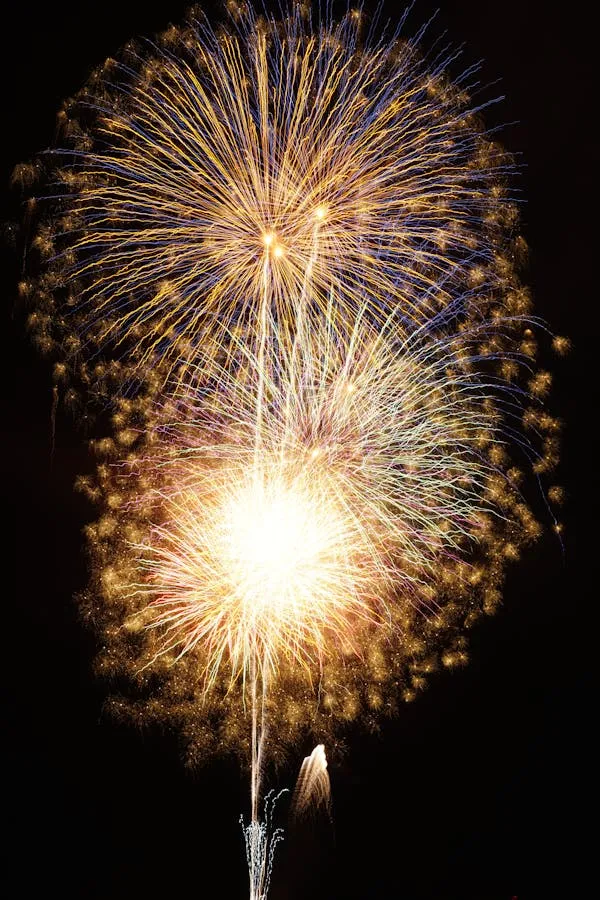 Majestic Fireworks Lighting up the Night Sky Wallpaper HD