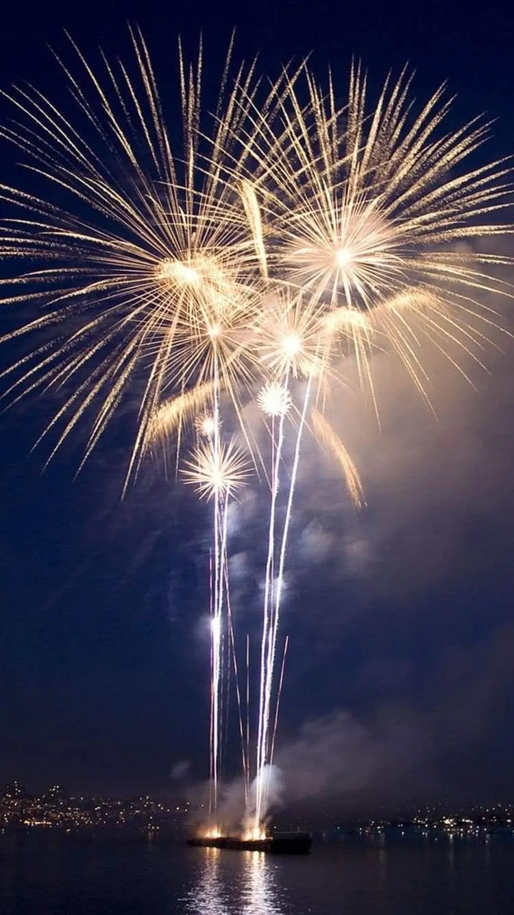 Majestic fireworks lighting up the sky over the city