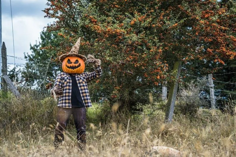 Man in Pumpkin Head Costume Posing Outdoors in Autumn Setting