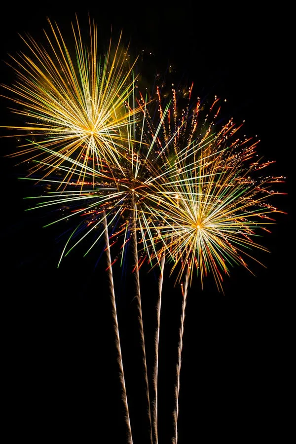 Marvelous Colorful Fireworks Display Lighting up the Night