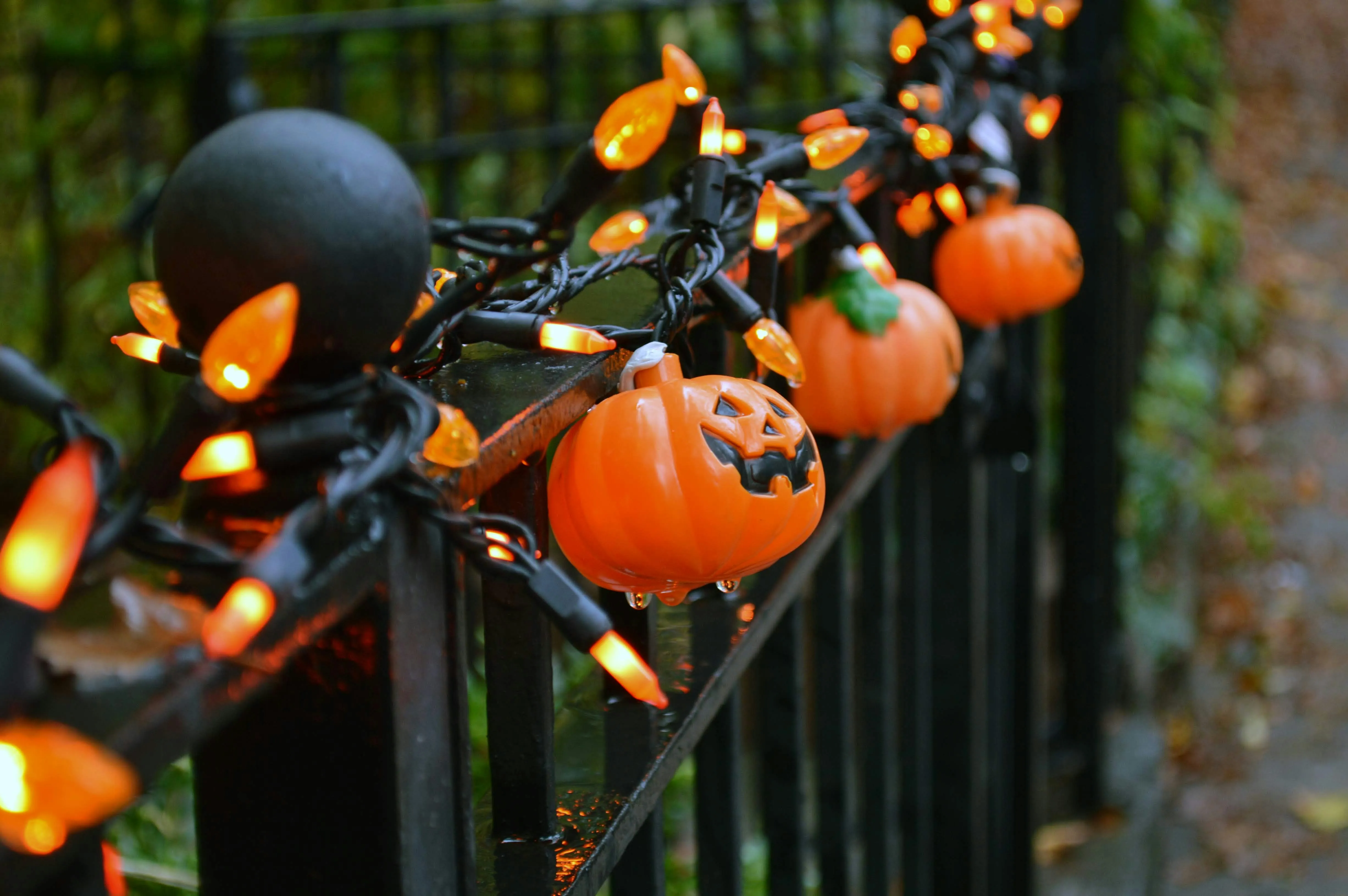 Mini Pumpkin String Lights Decorating Outdoor Fence Image