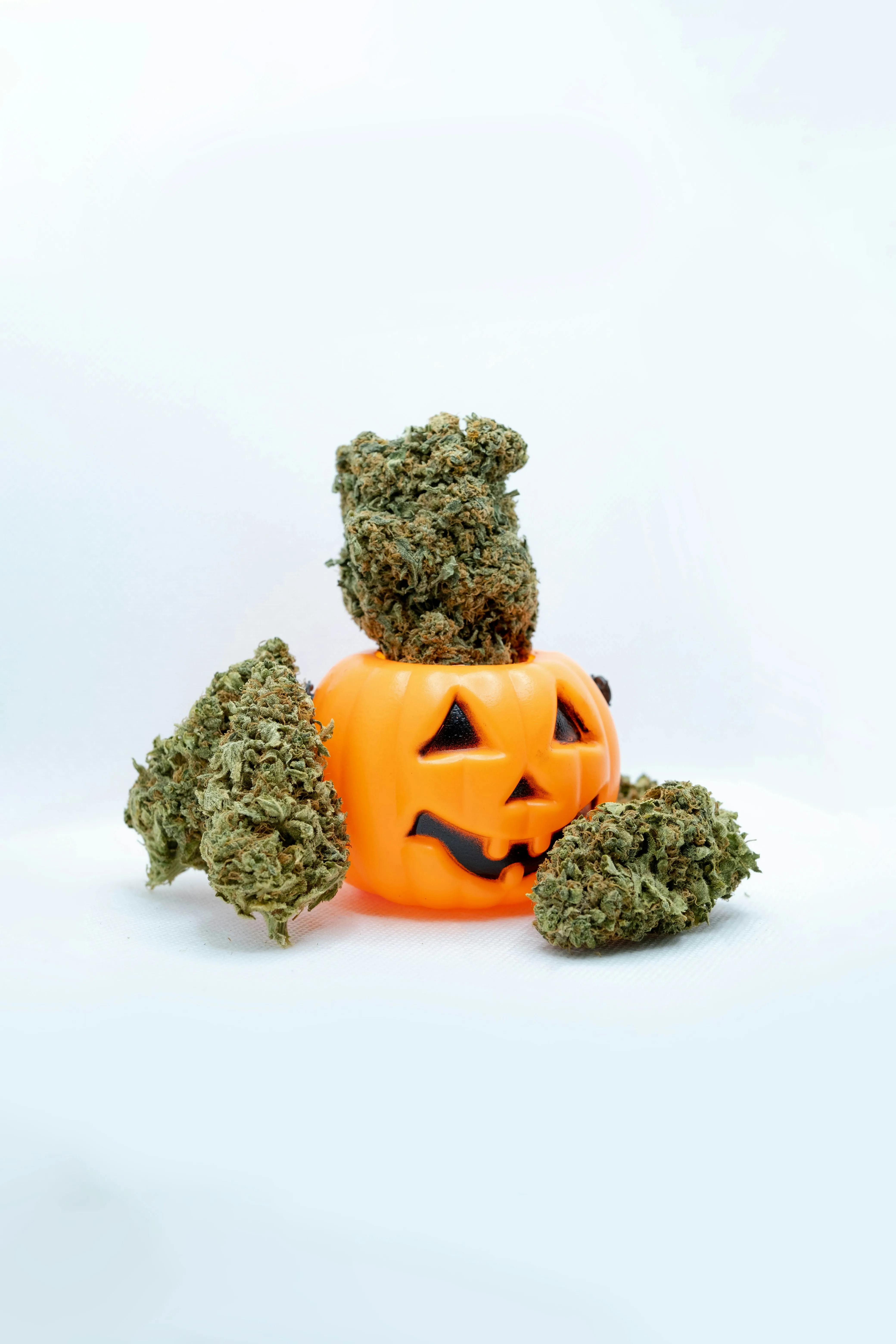 Mini Pumpkin with Cannabis Buds on White Background HD