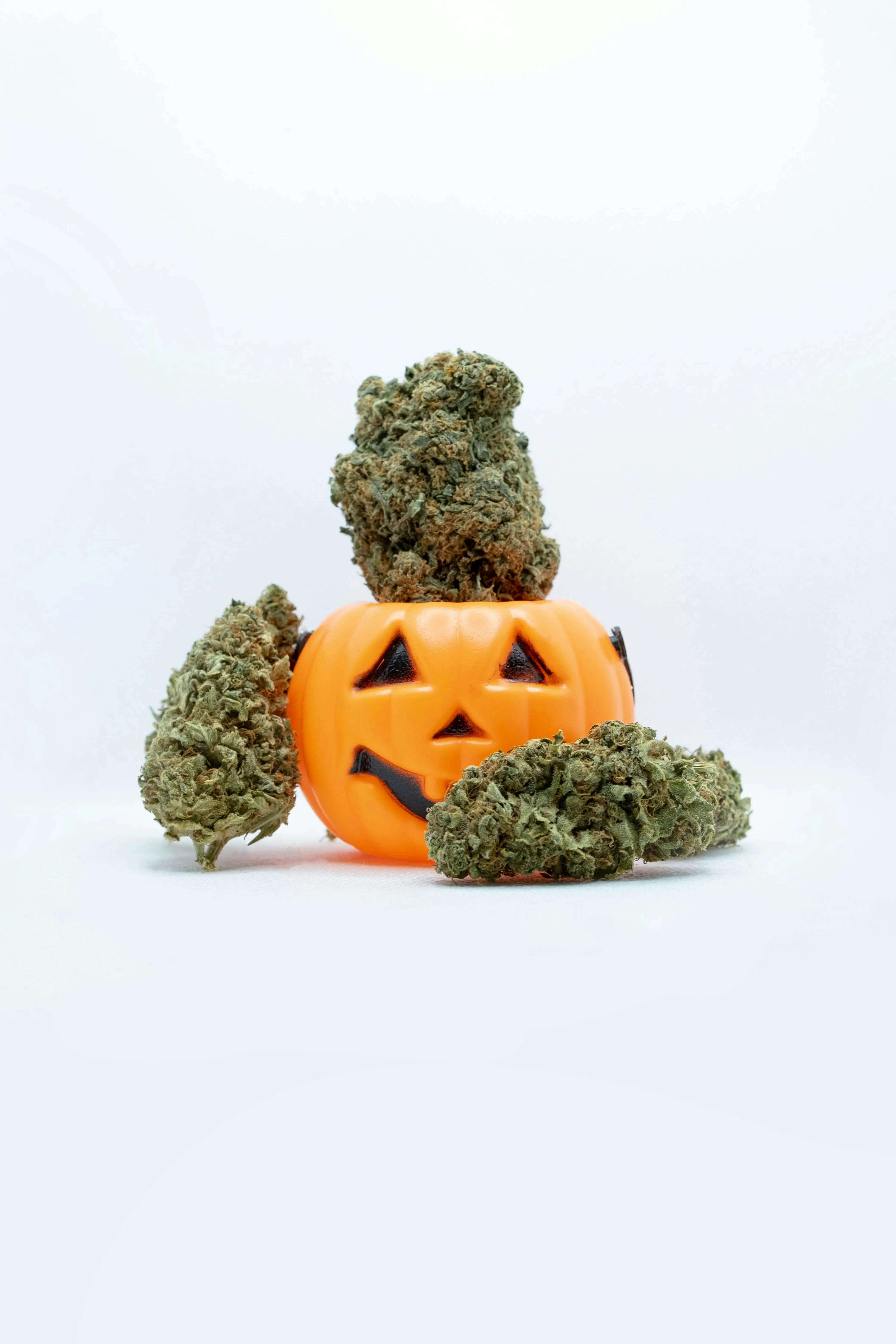 Mini Pumpkin with Green Moss on White Background Wallpaper