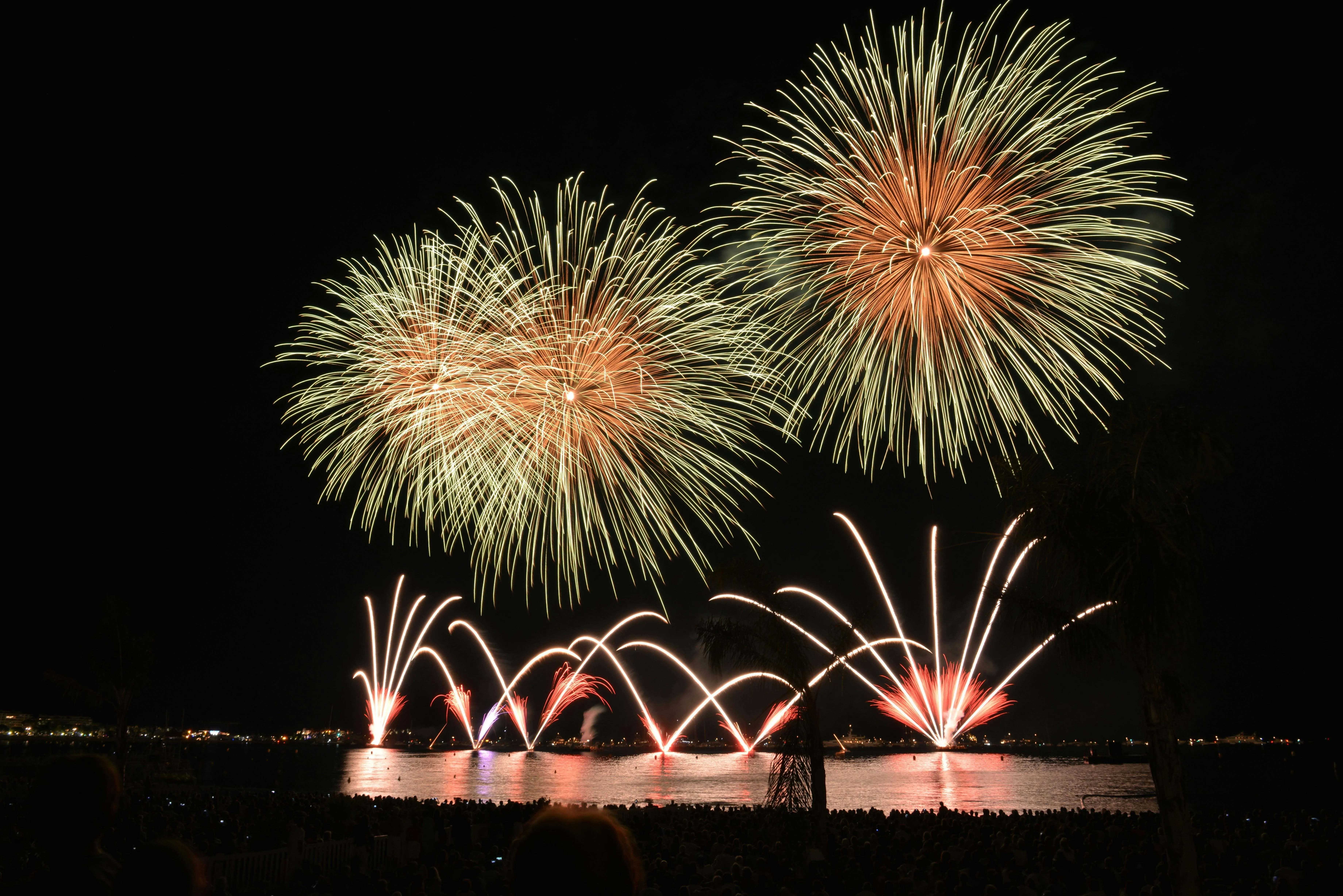 Multicolored Fireworks Exploding in the Dark Night Sky