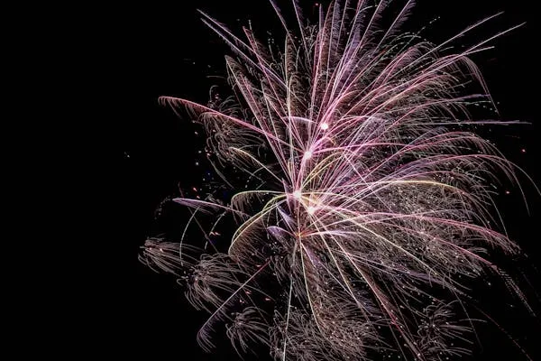 Multicolored Fireworks Exploding with Energy in the Dark Sky