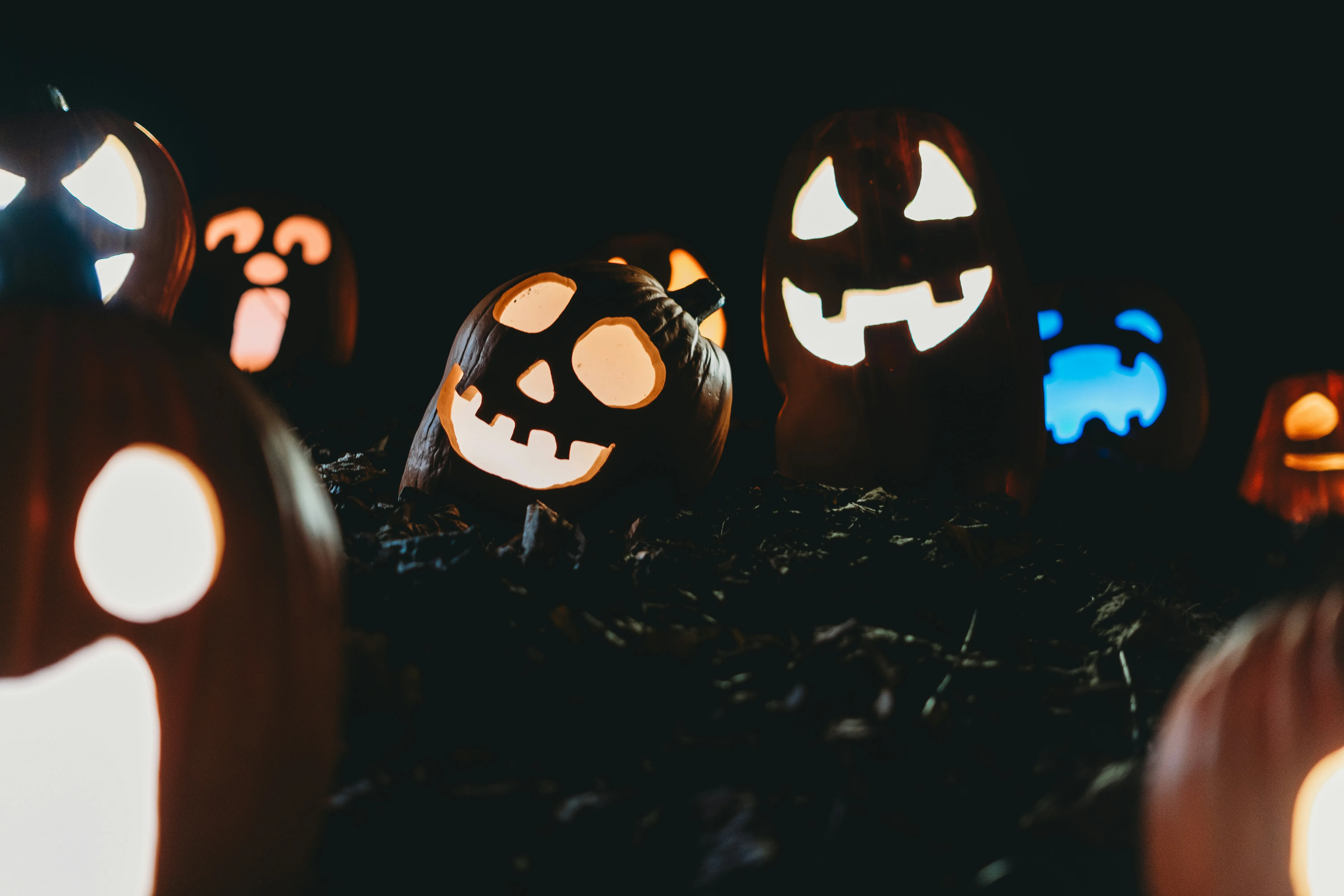 Multiple Glowing Pumpkins in Nighttime Halloween Display