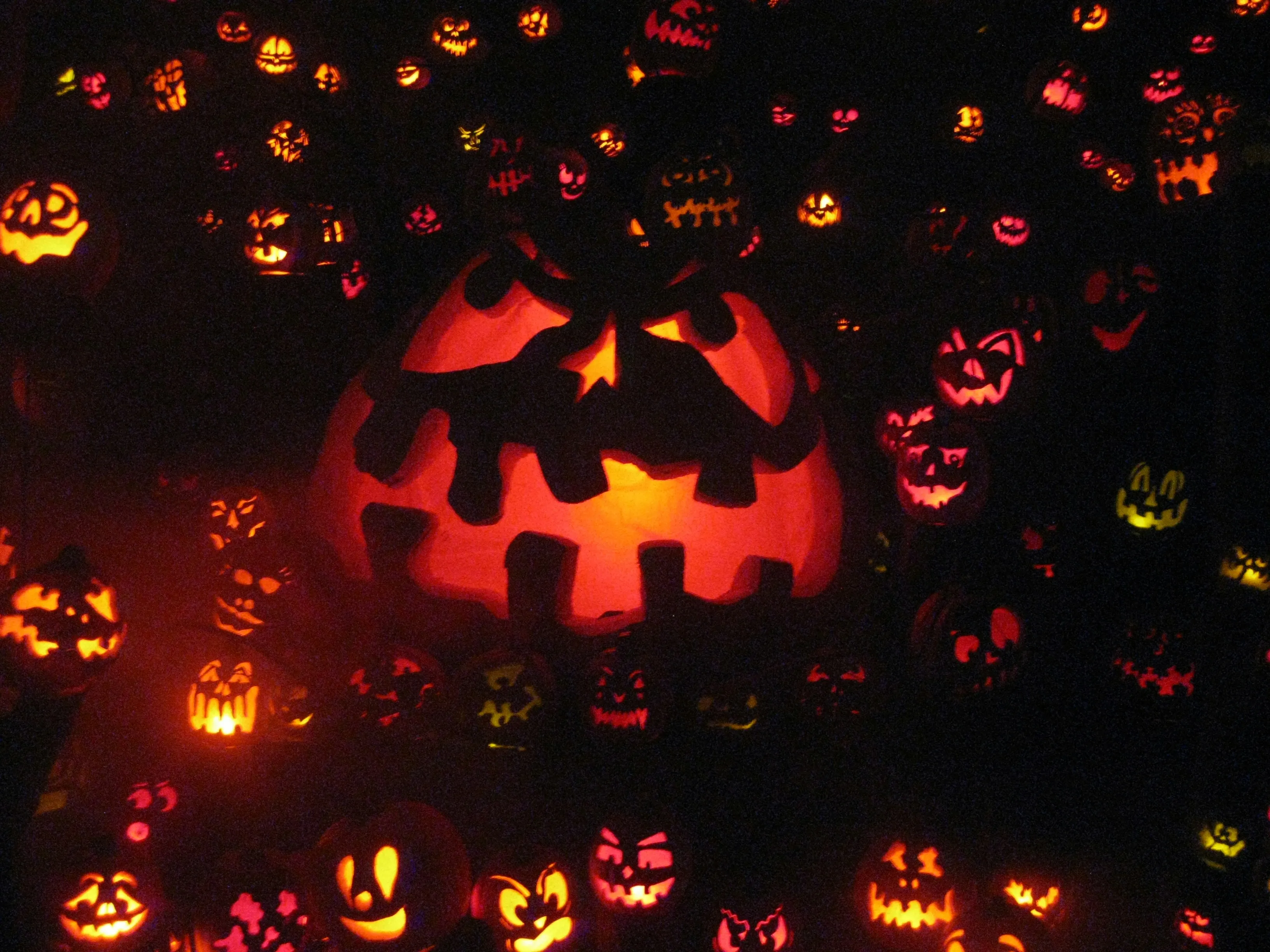 Multiple Jack O Lanterns Glowing in The Dark Wallpaper
