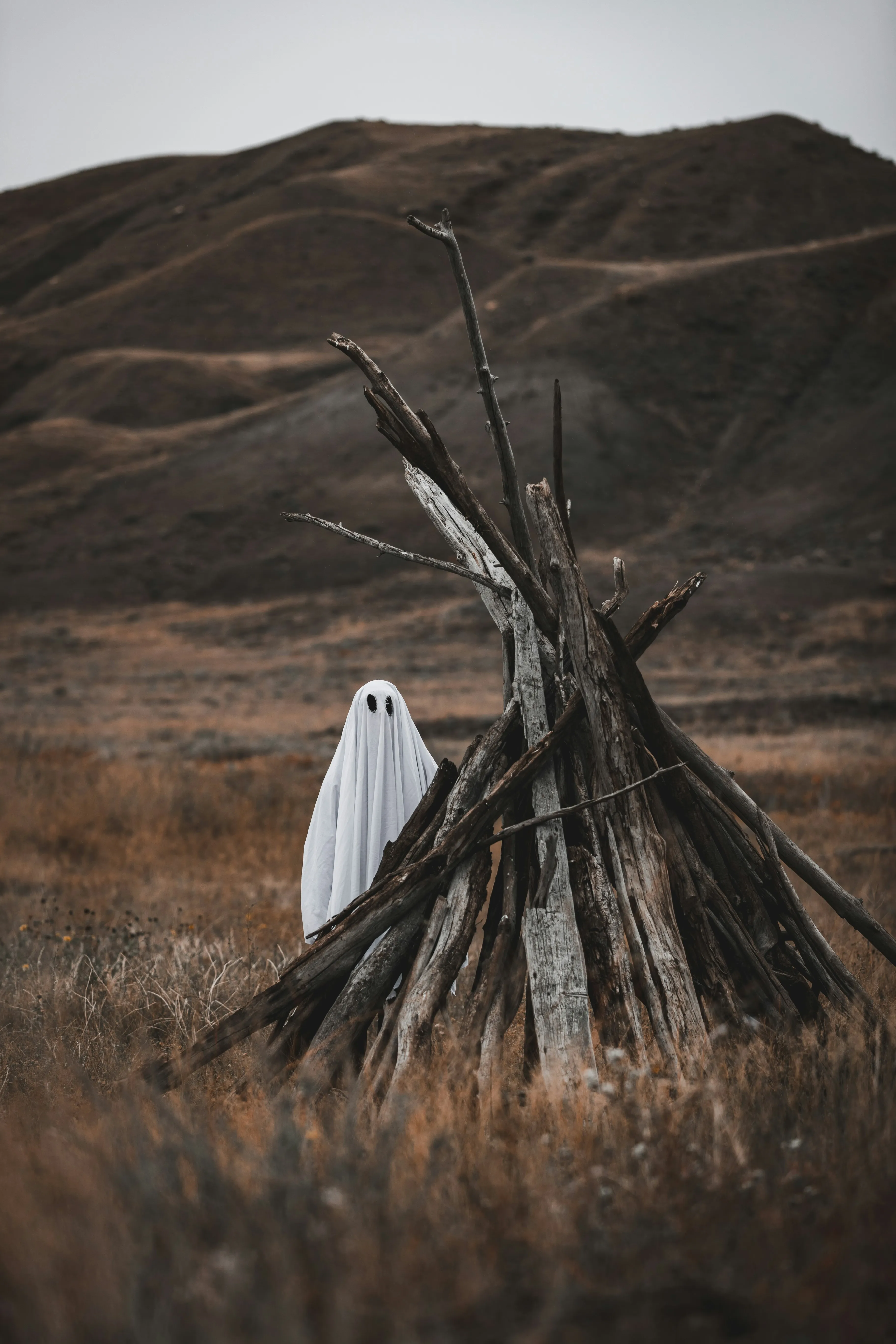 Mysterious Halloween Ghost Among Autumn Landscape image