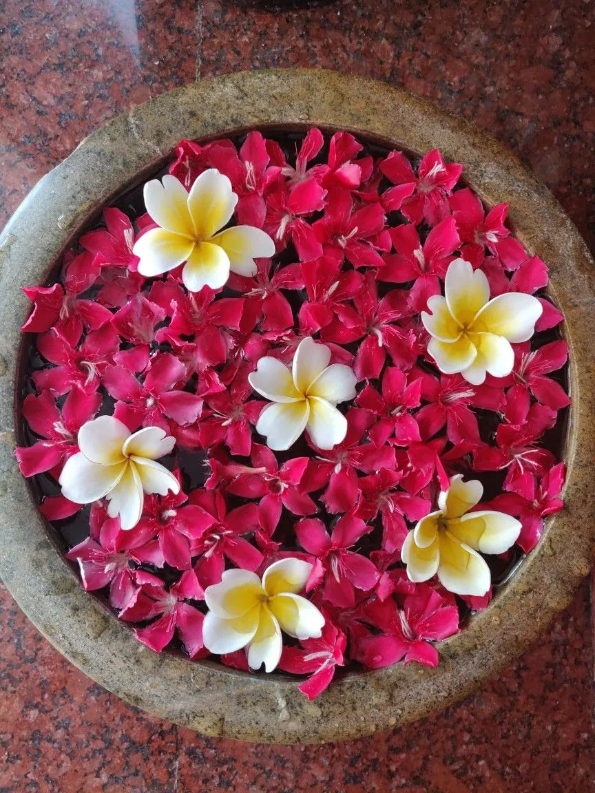 Onam Flower Bowl with red and white flowers HD wallpaper