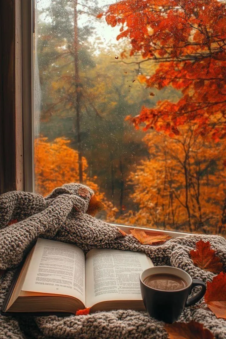 Open Book Coffee and Autumn View From Cozy Window Seat