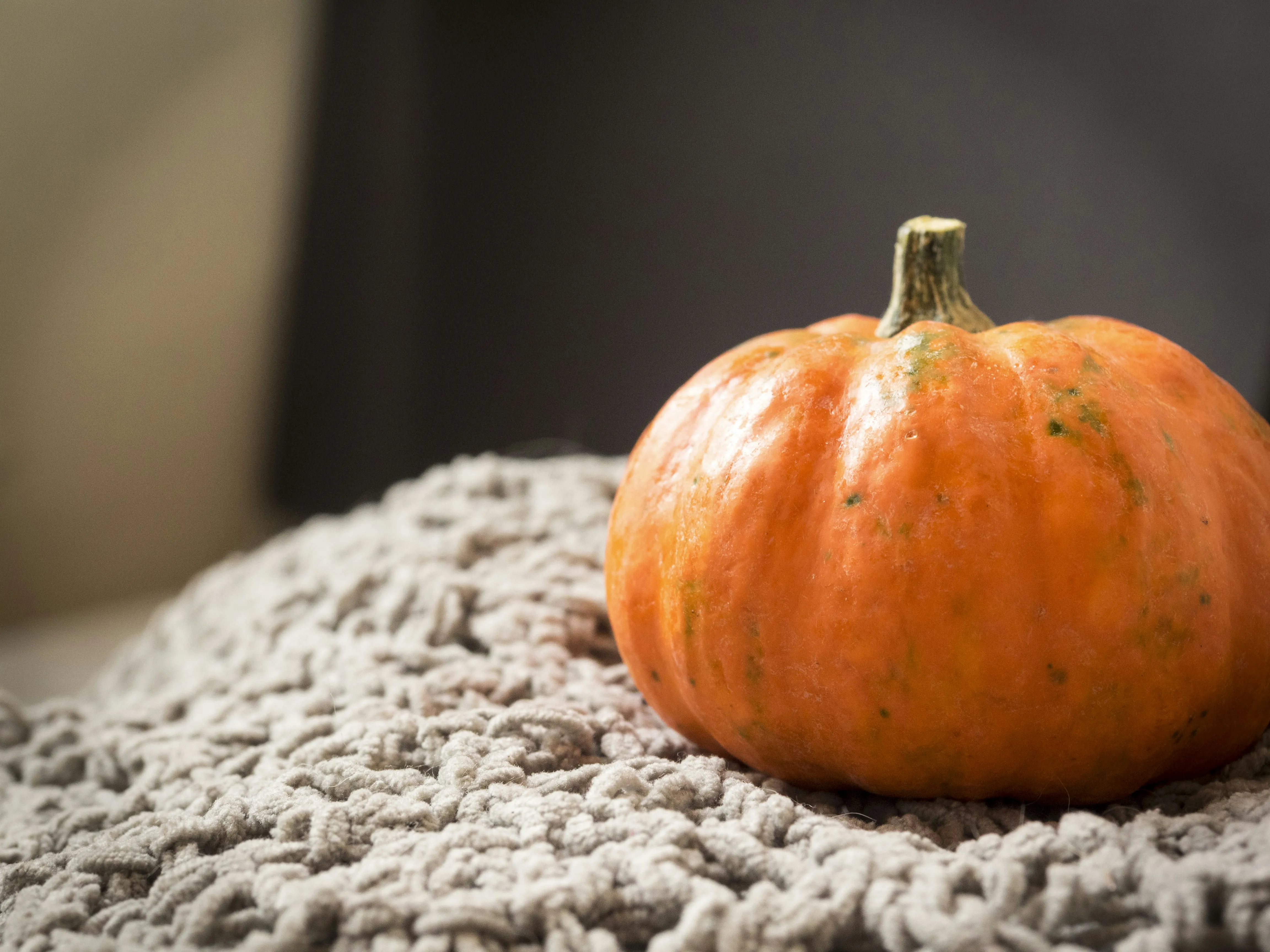 Orange Pumpkin Resting on Cozy Beige Blanket HD Wallpaper