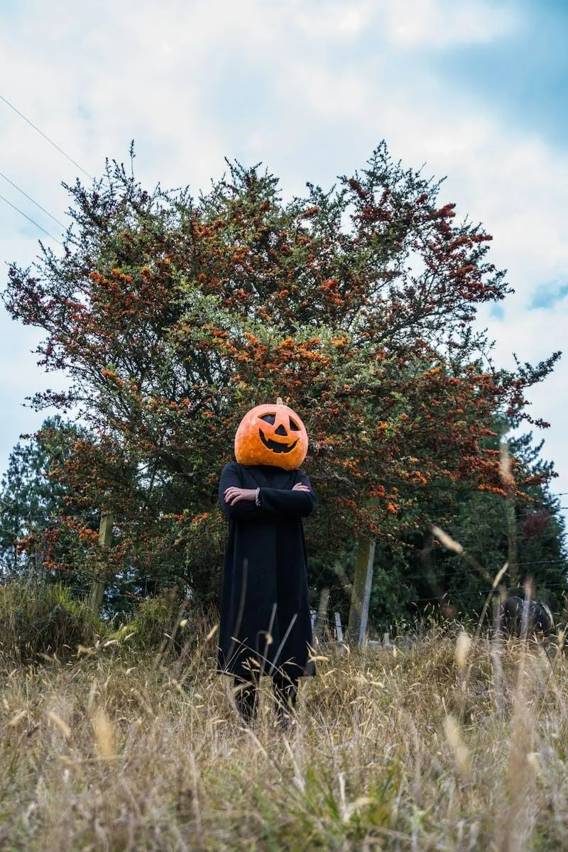 Outdoor Halloween Festival Pumpkin Head in Autumn Field