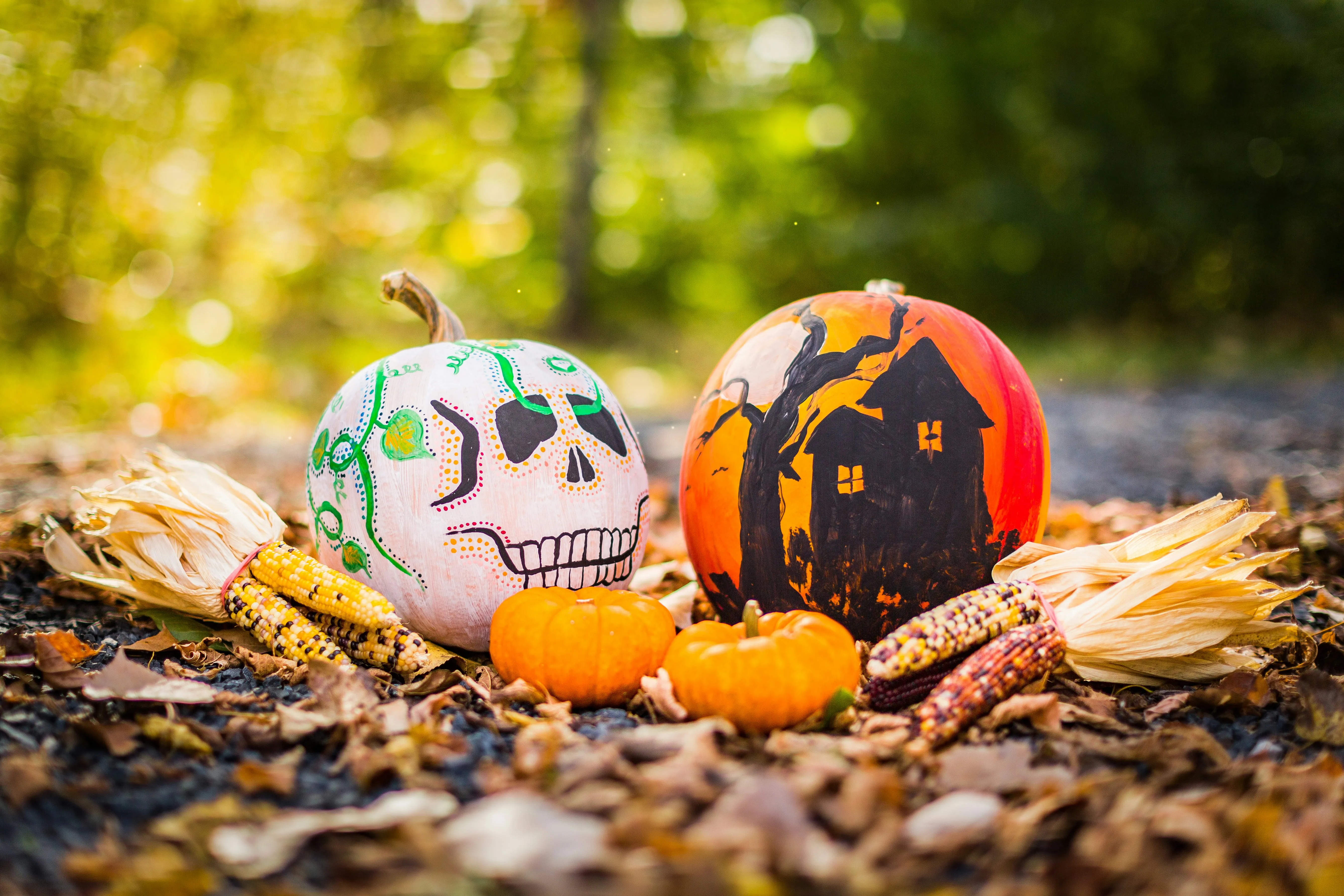 Painted Halloween Pumpkins with Cute Colourful Faces Image