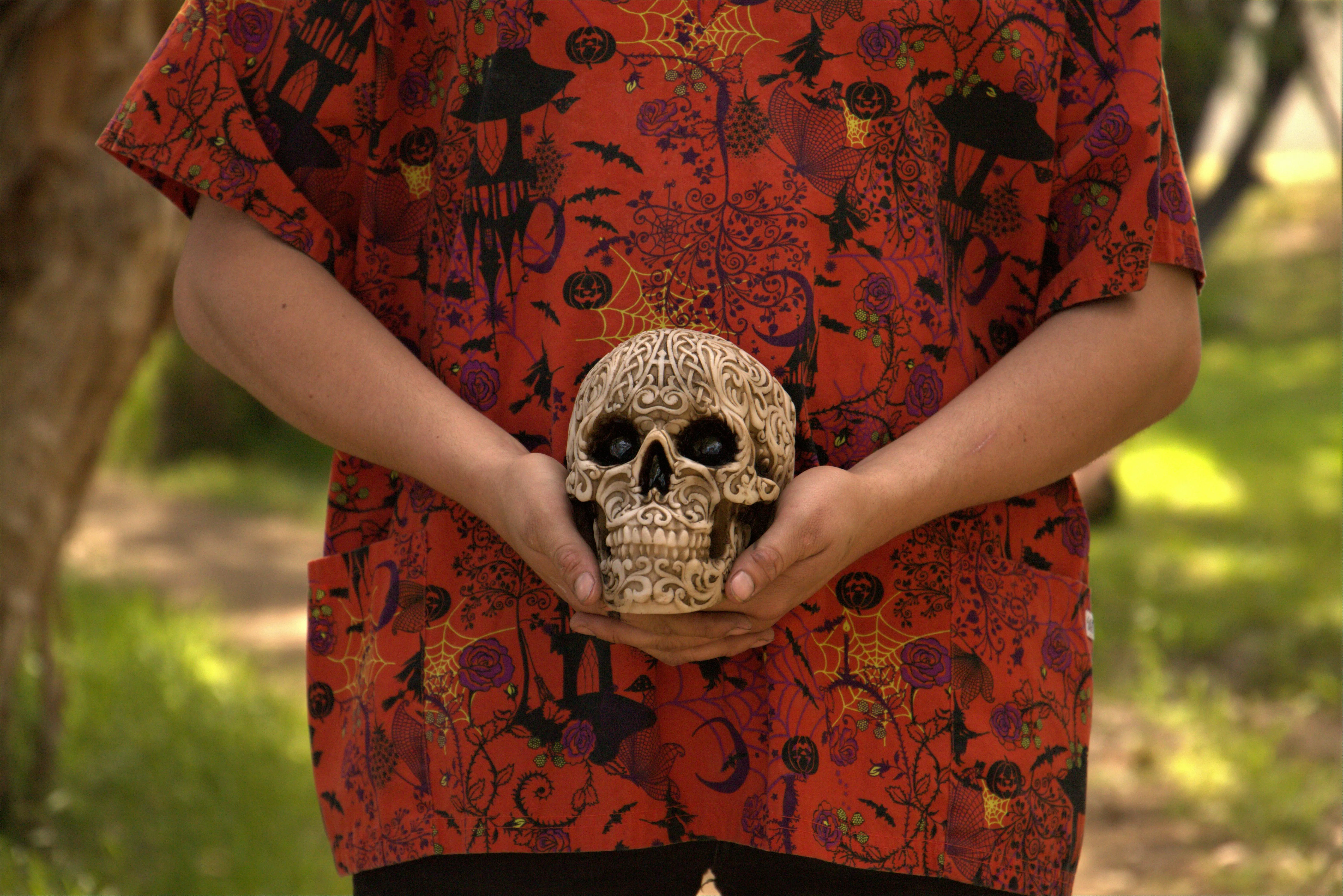 Person Holding Human Skull During Halloween Wallpapder