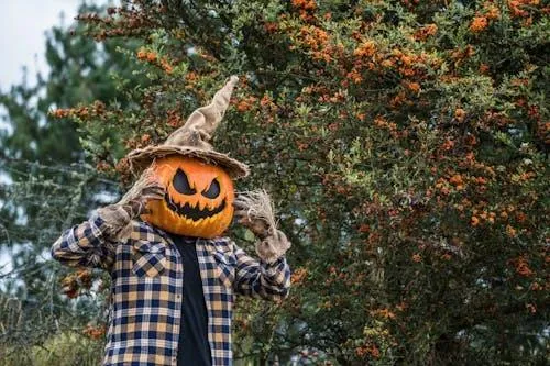Person in plaid shirt and pumpkin head walking in the woods