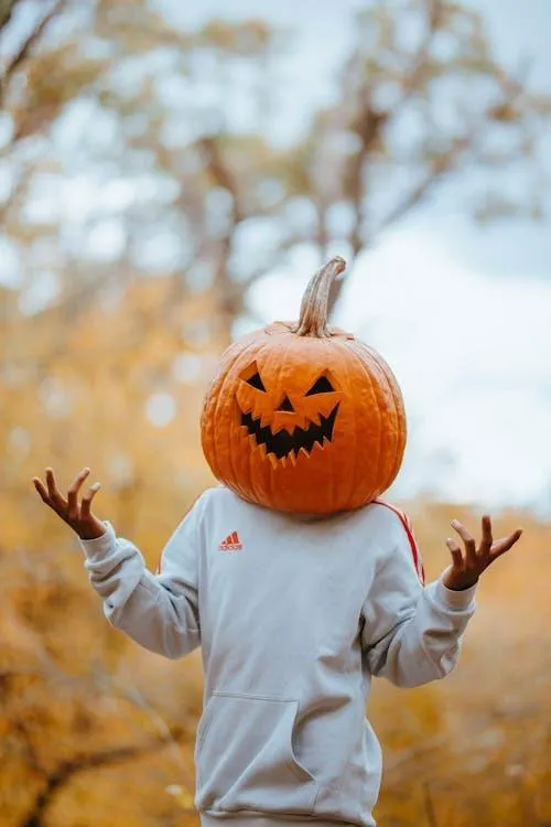 Person in Pumpkin Head and Jacket in Autumn Setting