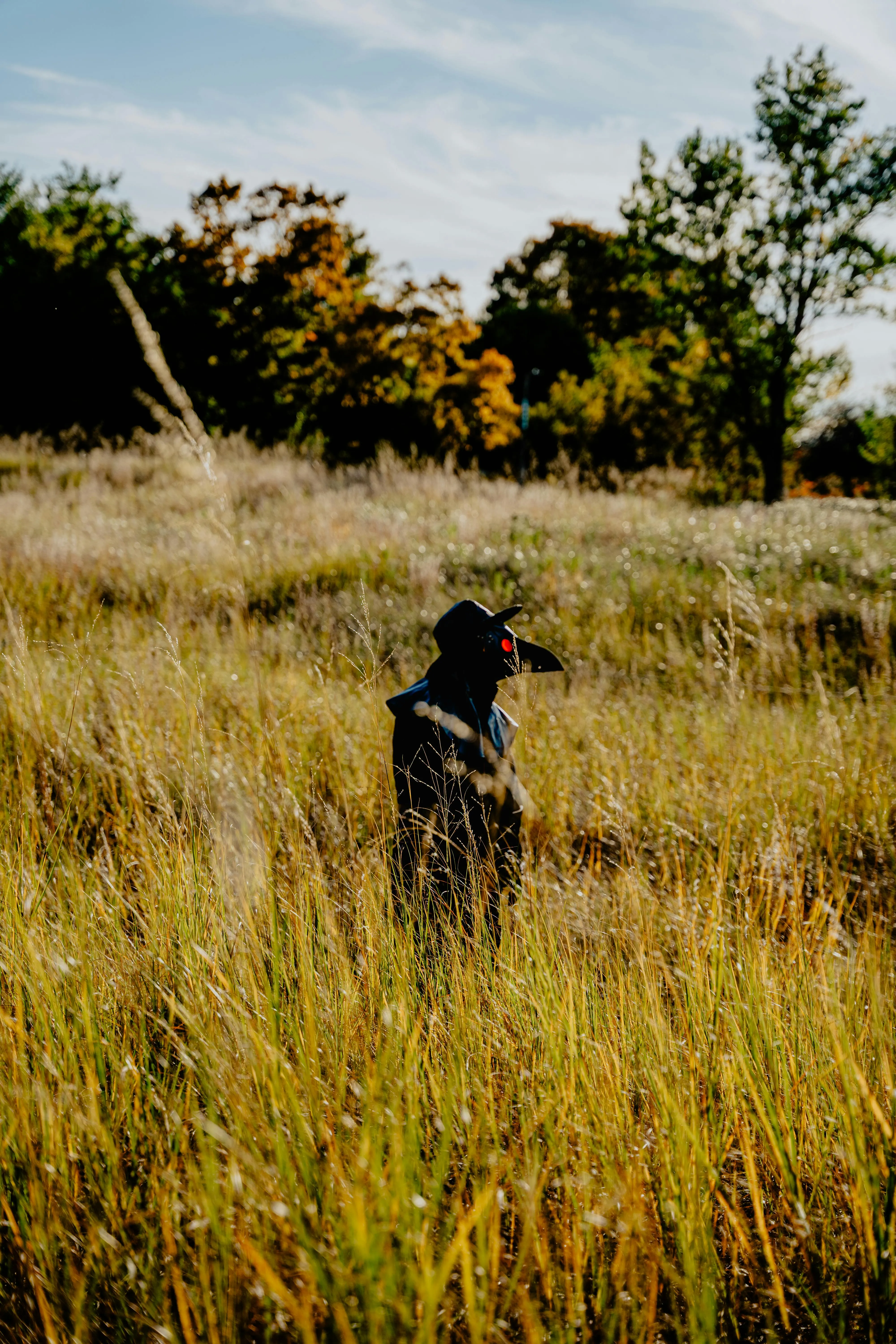 Person in Scary Halloween Costume in Tall Grass Field