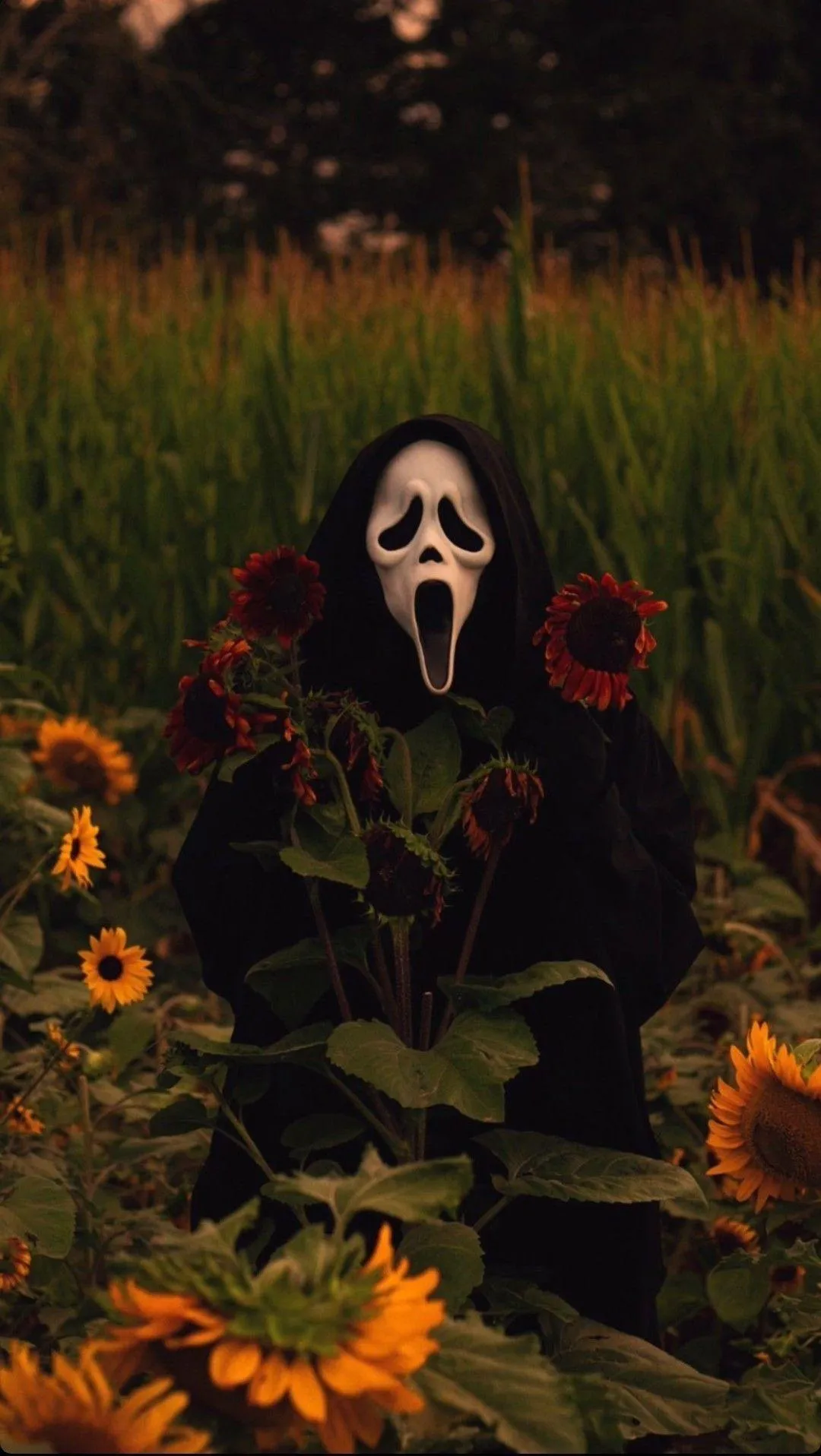 Person Wearing Ghostface Mask Standing in Sunflower Field image
