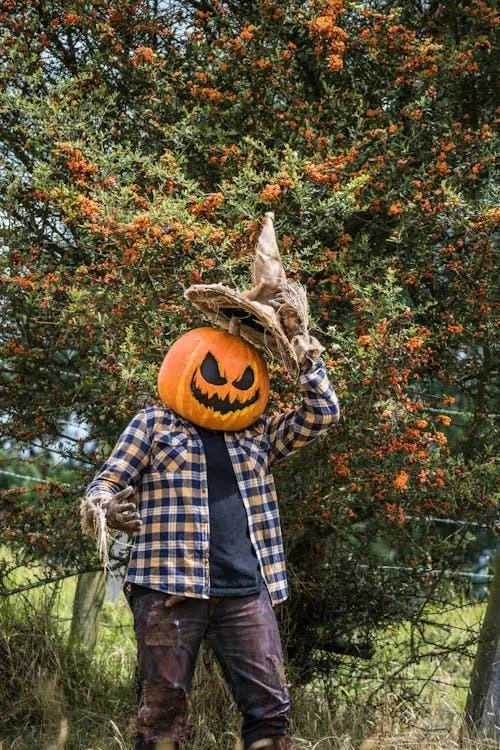 Person Wearing Pumpkin Head Costume in Forest Environment