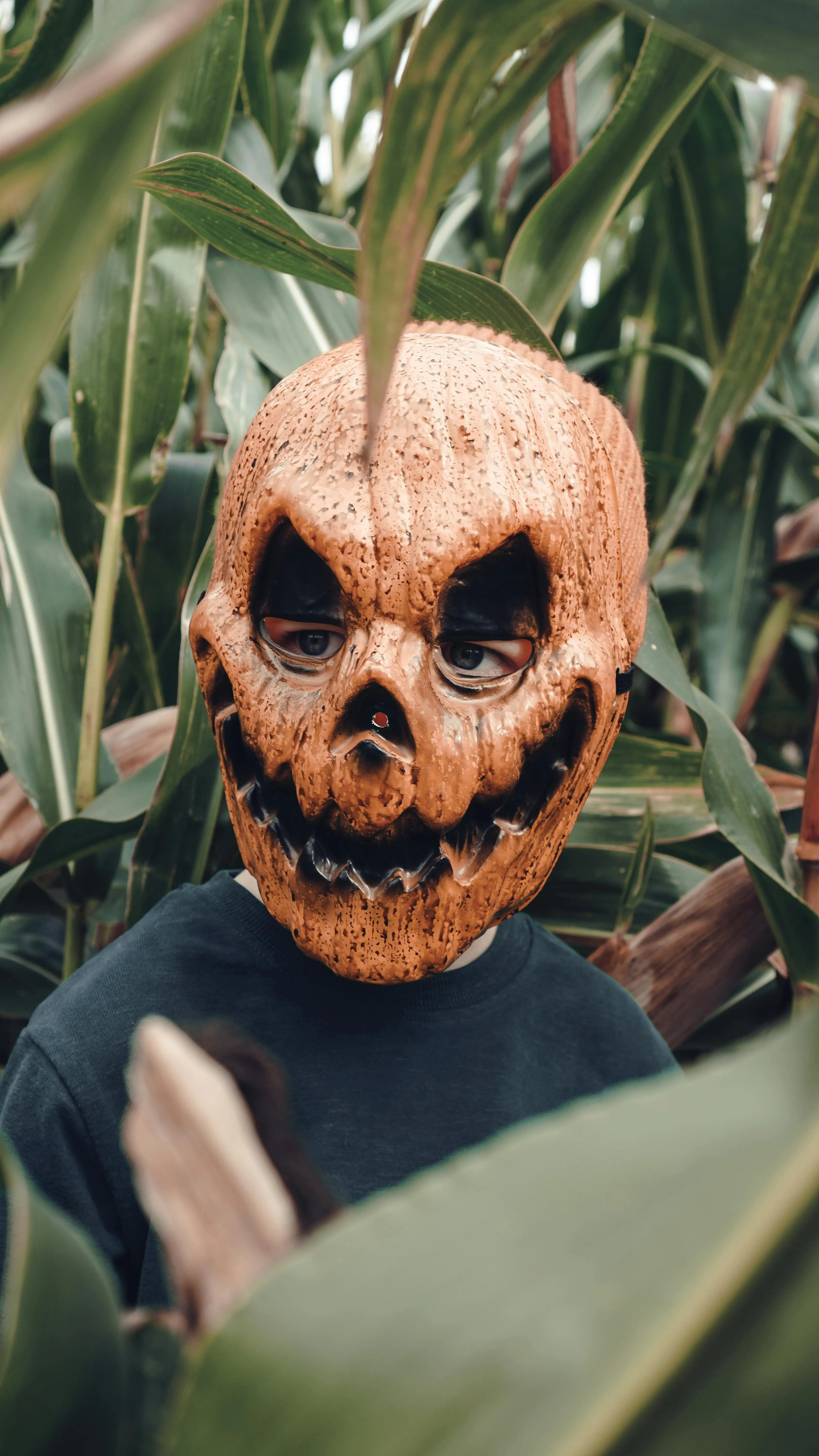 Person Wearing Pumpkin Head Costume in Nature Wallpaper