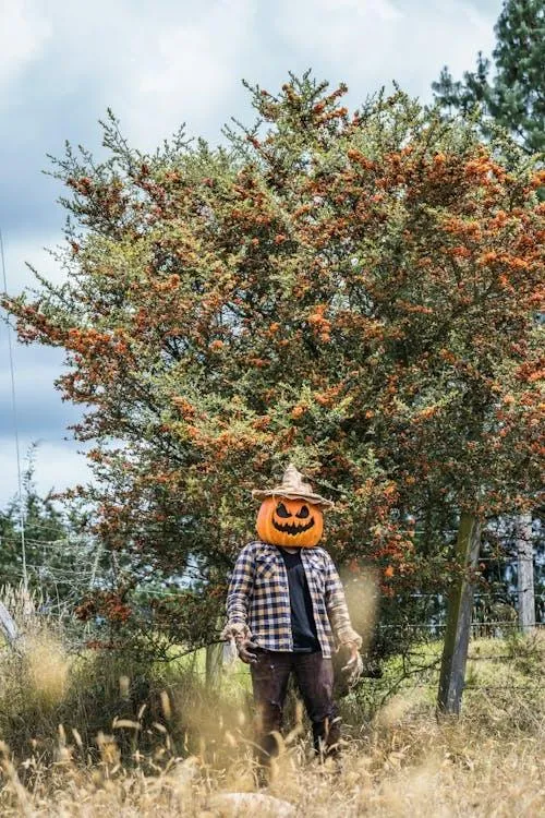 Person Wearing Pumpkin Head Costume Standing near fence