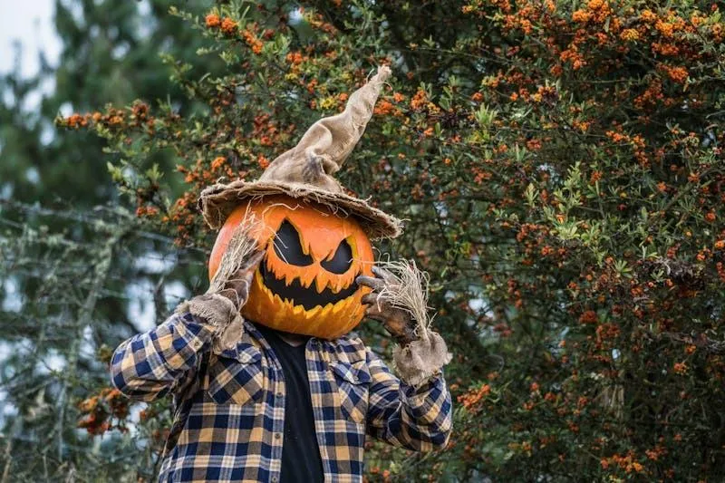 Person Wearing Pumpkin Head Mask in Forested Autumn Setting