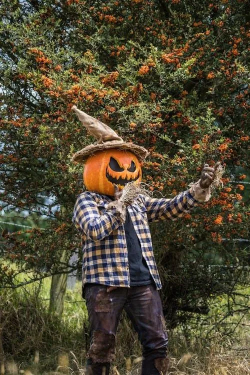 Person Wearing Pumpkin Head with checkered shirt Wallpaper