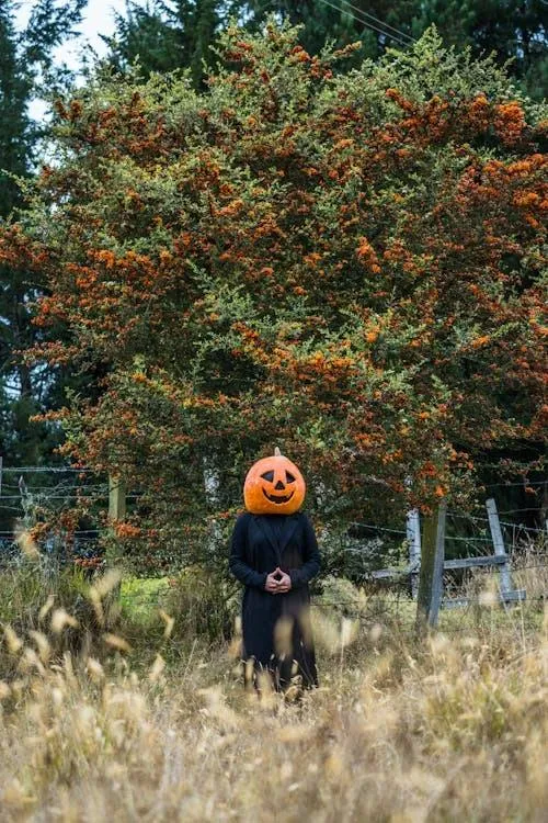 Person with Pumpkin Head Walking Outdoors Near Trees image