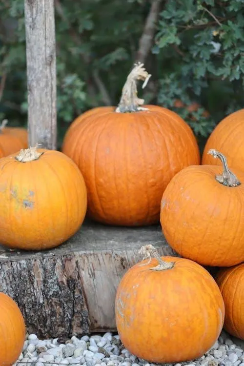 Pile Of Orange Pumpkins in Outdoor Fall Display Wallpaper