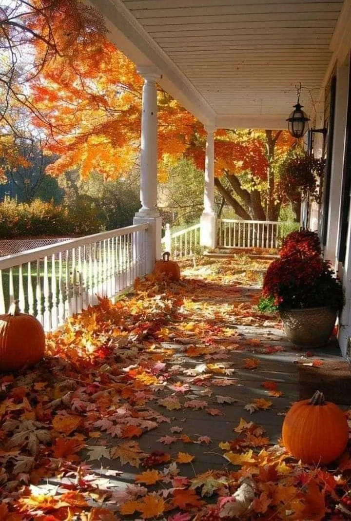 Porch View with Autumn Leaves and Pumpkin Decoration HD