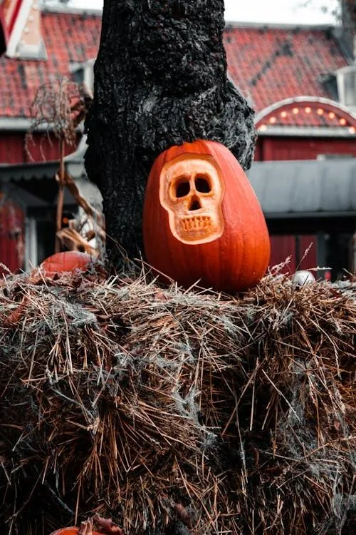 Pumpkin Carved As Skull on Hay Bale For Halloween Wallpaper
