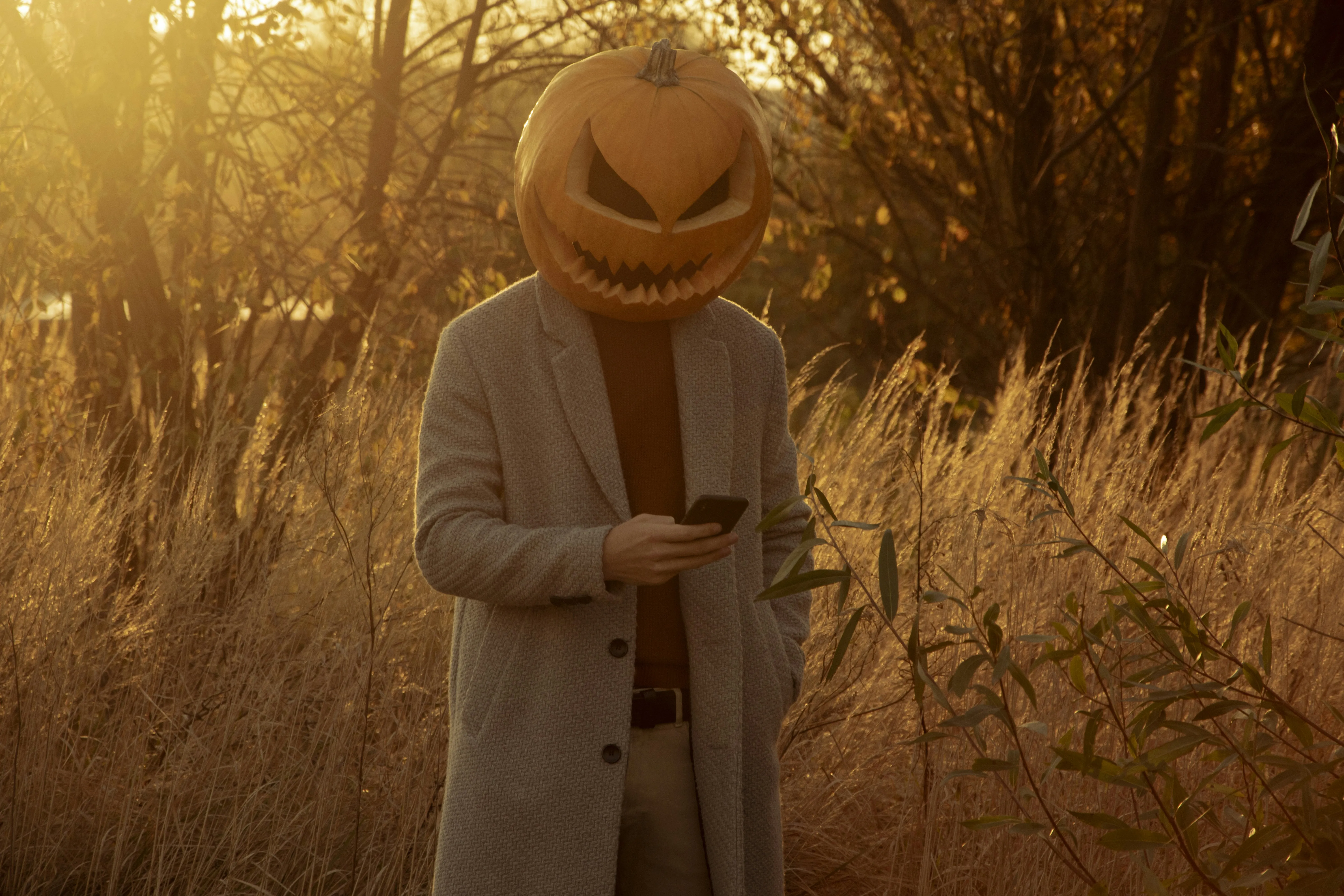 Pumpkin Head Character Checking Phone at Sunset Wallpaper