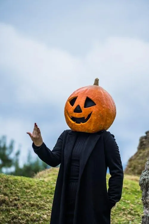 Pumpkin Head Character Standing in Bright Forest image