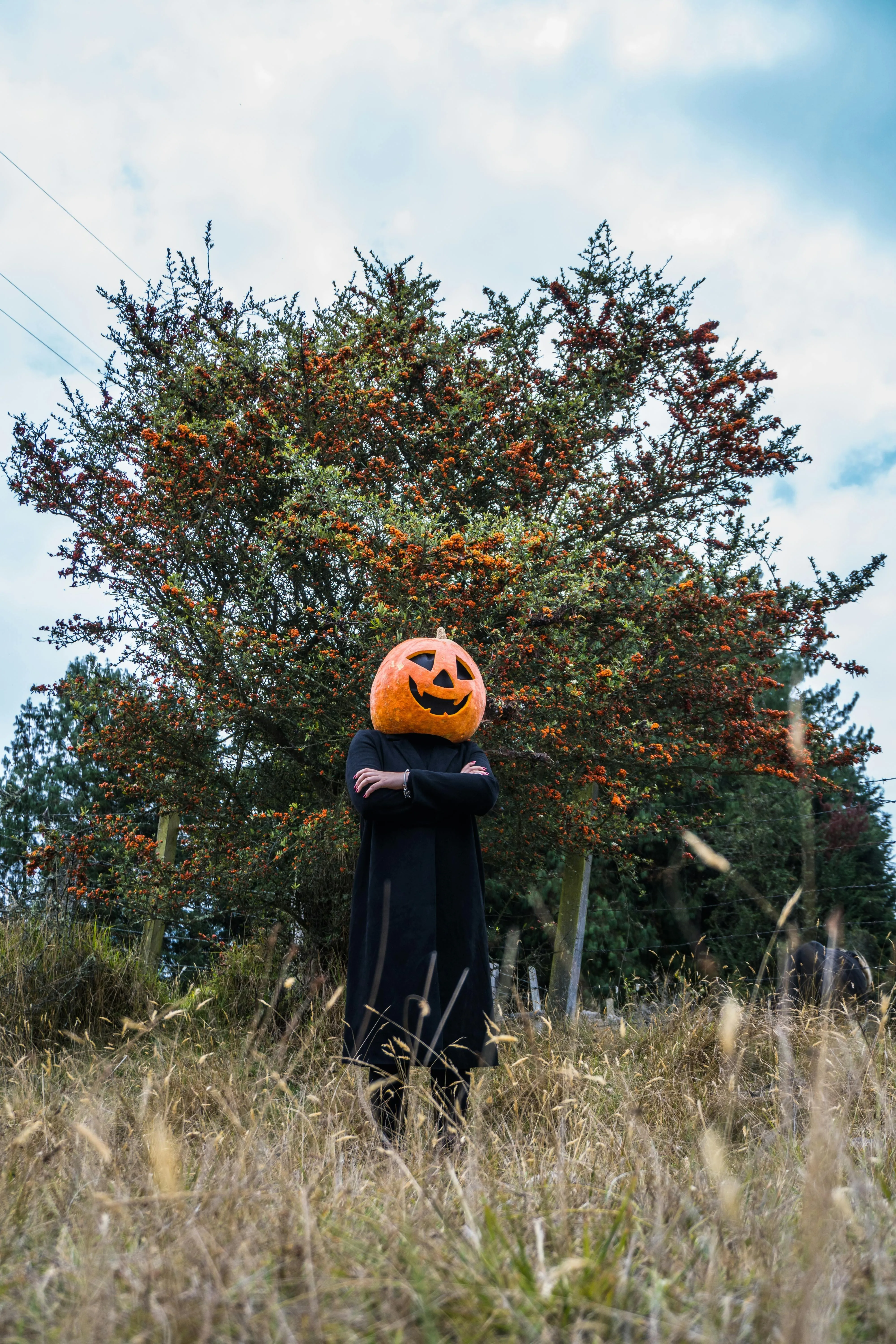 Pumpkin Head Costume in Field at Halloween Festival