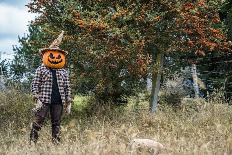 Pumpkin Head Costume Person Walking in Autumn Landscape