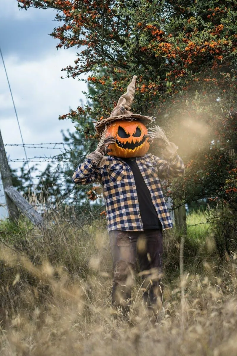 Pumpkin Head Costume Wearing Plaid Shirt in Autumn Field
