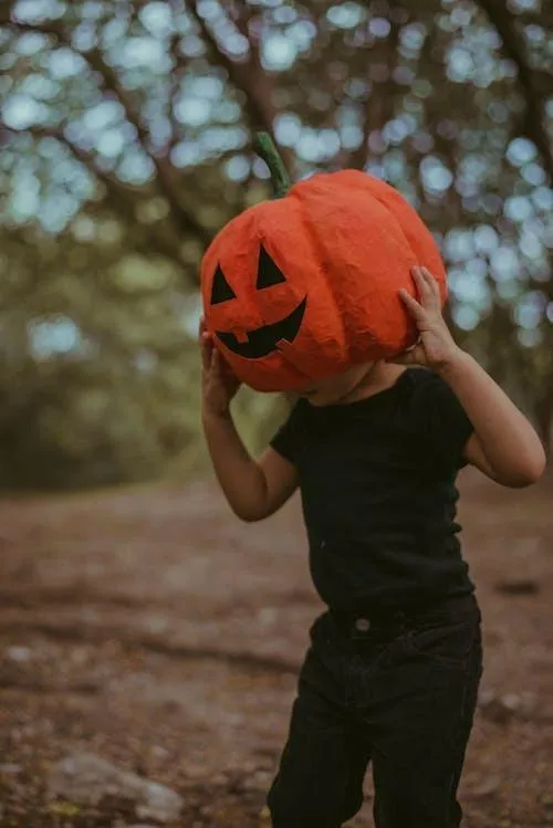 Pumpkin Head Costume with Blur forest Background HD