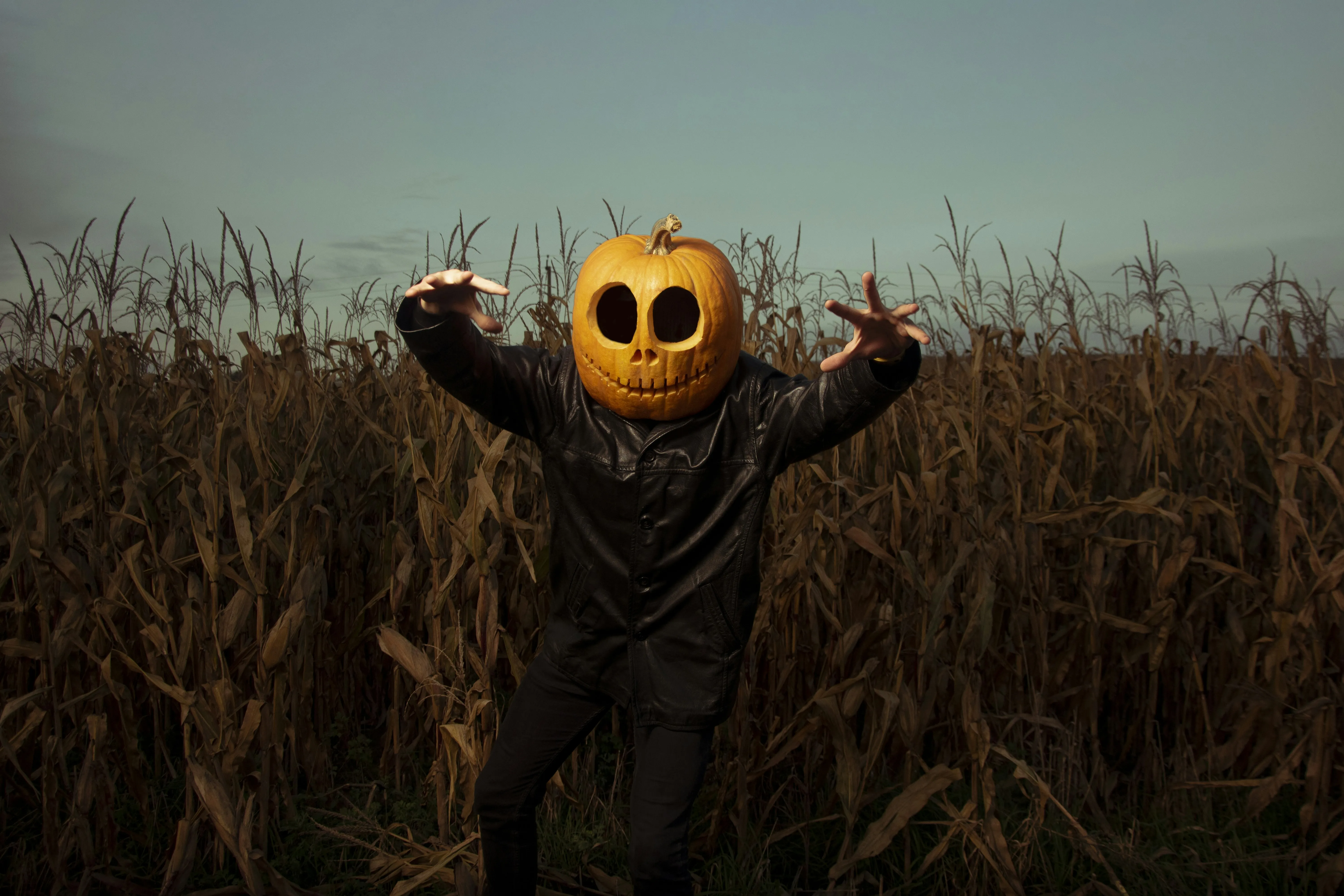 Pumpkin Head Figure in Cornfield at Halloween Festival