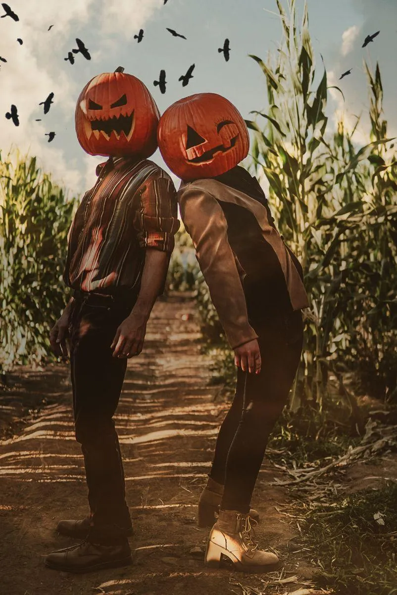 Pumpkin Head Pair Standing Together in a Cornfield image