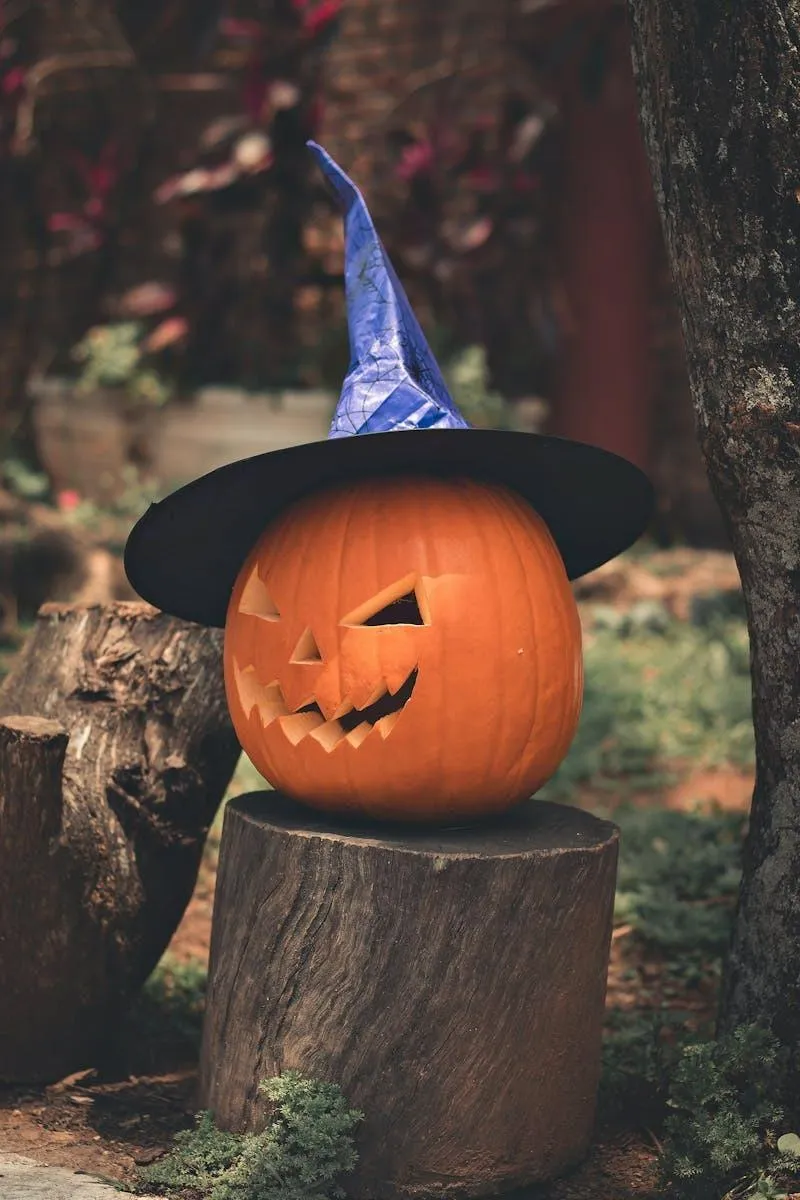 Pumpkin head with Witch Hat Sitting on Tree Stump image