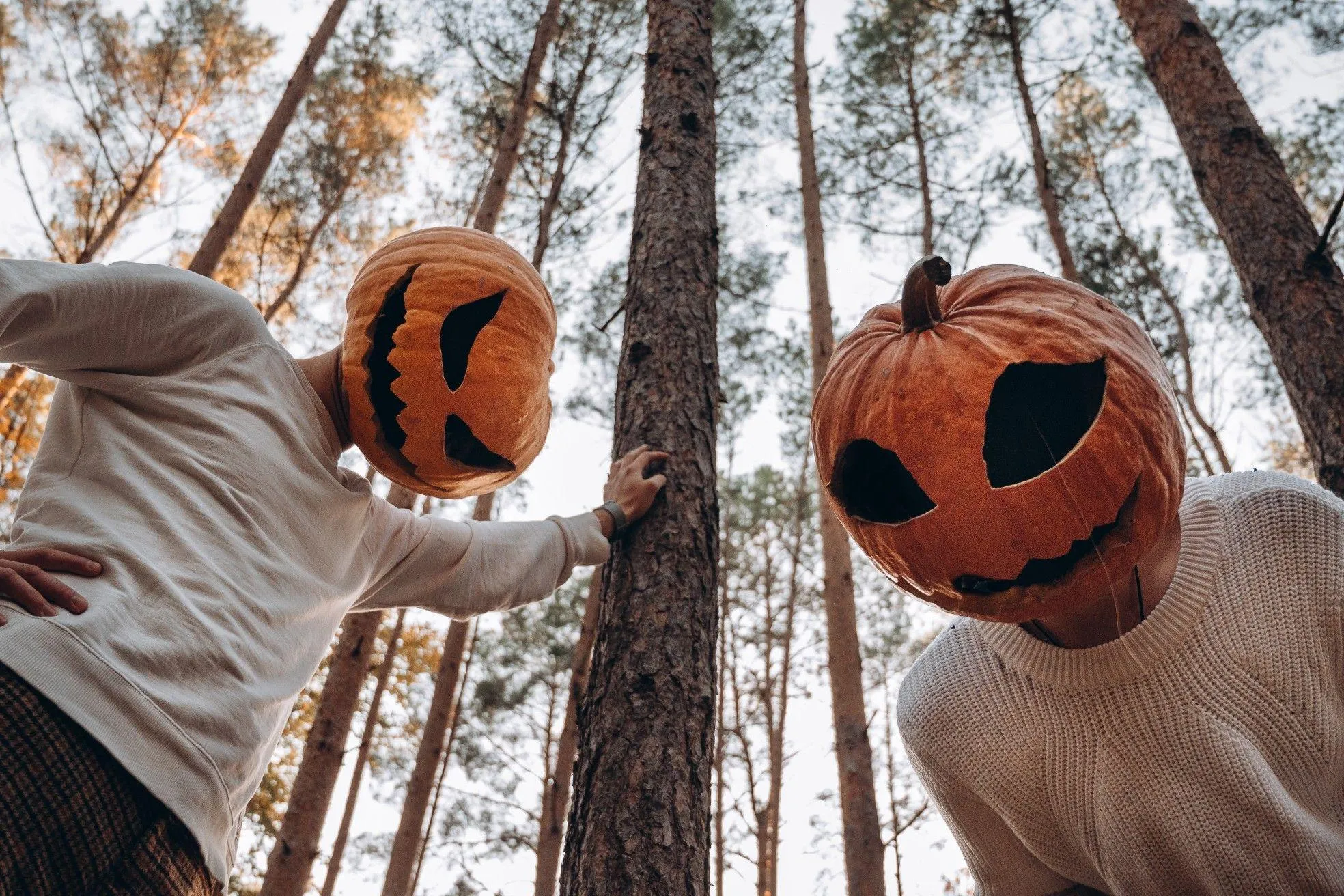 Pumpkin Headed Characters Under Tall Trees in Spooky Woods