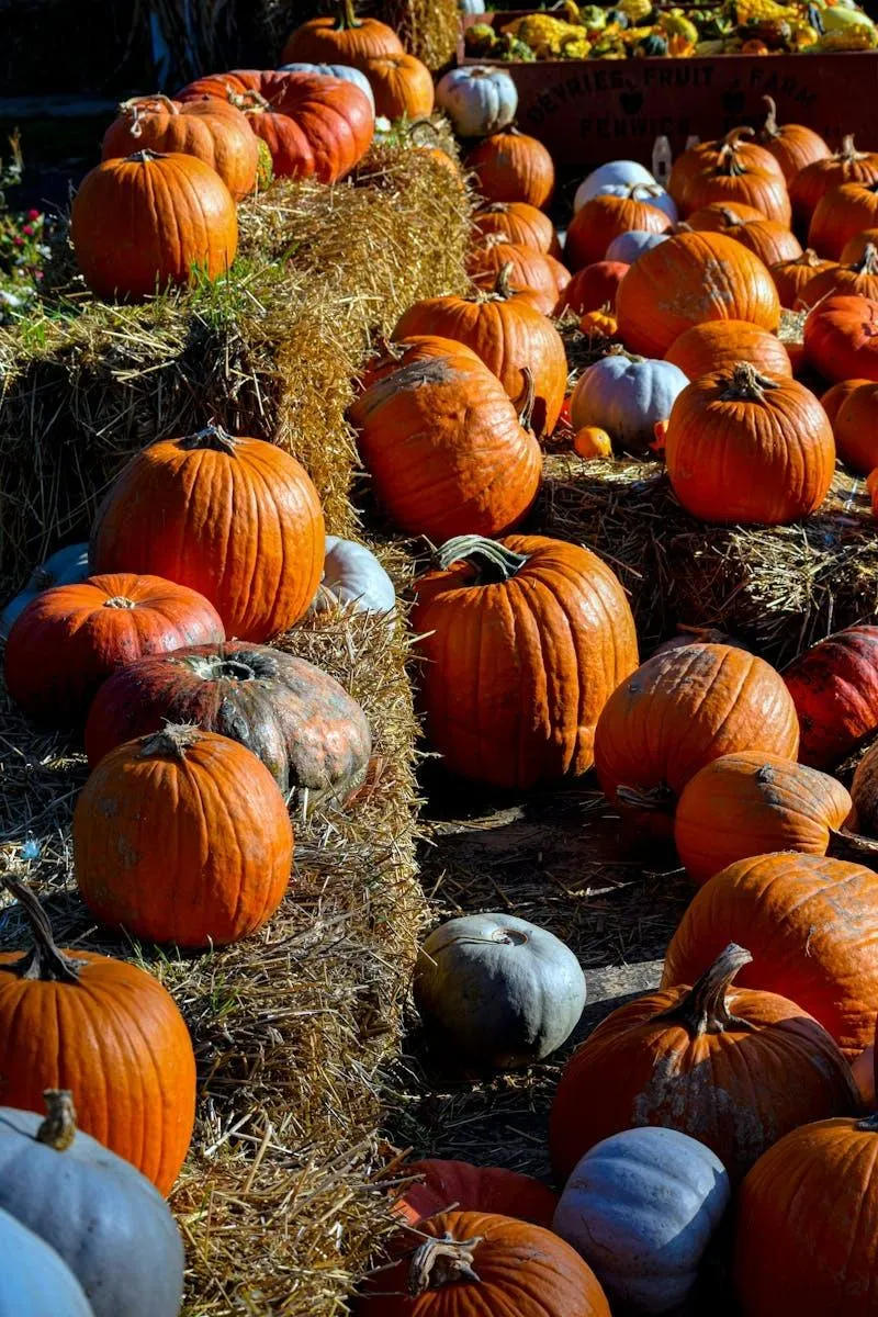 Pumpkin Patch Display with Hay Bales and Fall Colors