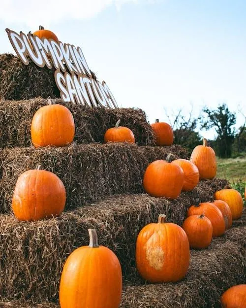 Pumpkin Patch Entrance with Hay and Signboard Wallpaper