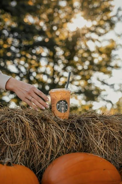 Pumpkin Spice Iced Latte at Starbucks a Fall Favorite Image
